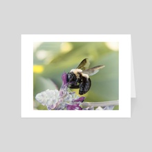 Carpenter Bee II - Art Card by Kelli Soukup