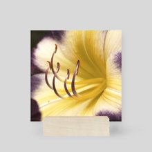 Lily I - Mini Print by Kelli Soukup