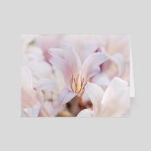 Lily Garden II - Card pack by Kelli Soukup
