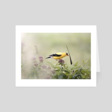 American Goldfinch - Art Card by Kelli Soukup