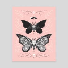 Death's Head Hawkmoth - Canvas by Lisa Perrin