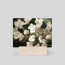 Floral Bloom I - Mini Print by Kelli Soukup