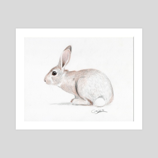 Rabbit by Wilber  Alfaro
