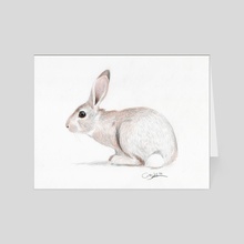 Rabbit - Card pack by Wilber  Alfaro