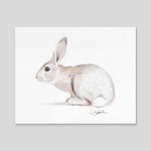 Rabbit - Acrylic by Wilber  Alfaro